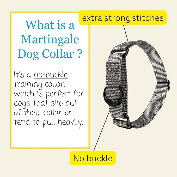 Country Brook Petz - Martingale Dog Collar - Heavy-Duty Training Collar with No Buckle - Service Dog Collar for All Pups - 20 Vibrant Colors (Charcoal, 3/4 Inch, Small)