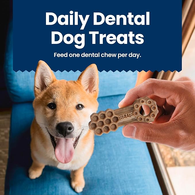 Blue Buffalo Large Dental Chews Bundle, Natural Dog Treats Enhanced with Vitamins, Minerals, and Other Nutrients, Four 22 oz. Bags