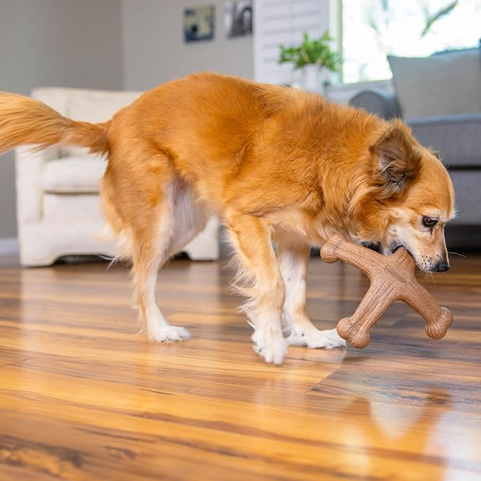 Dogwood Jack Dog Chew Toy – Real-Wood Blend, Bacon Scented, 4 Chewable Ends, Moderate Chewers, Large, 7.5" x 2"