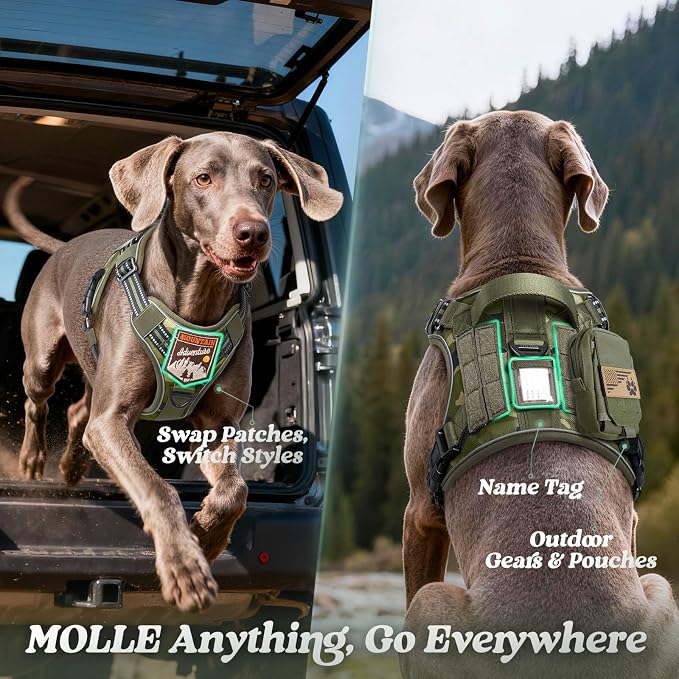 rabbitgoo Dog Harness Medium Sized No Pull, Tactical Service Pet Vest with Molle and Control Handle, Adjustable and Reflective Military Harness for Easy Walking and Training, Green Camo, M