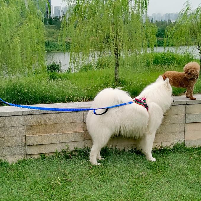 5 FT Bungee Dog Leash with 2 Handles, Reflective Strong Nylon Traffic Leash, Shock Absorbing Lead for Large Medium Dogs Walking Training Controlling, Dark Blue