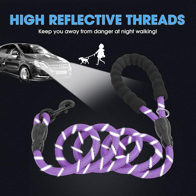 BAAPET 2/4/5/6 FT Dog Leash with Comfortable Padded Handle and Highly Reflective Threads for Small Medium and Large Dogs (6FT-1/2'', Purple)