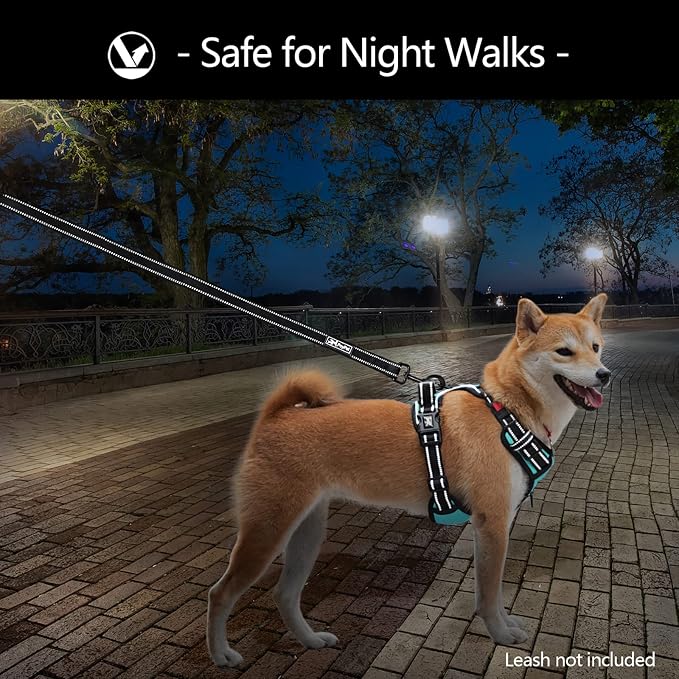 PoyPet No Pull Dog Harness, No Choke Front Clip Dog Reflective Harness, Adjustable Soft Padded Pet Vest with Easy Control Handle for Small to Large Dogs(Mint Blue,M)