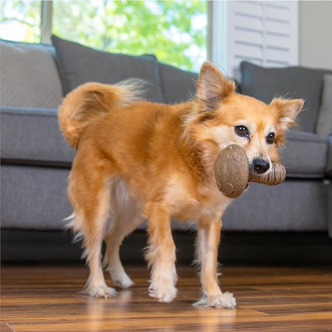 Dogwood Mushroom Dog Chew Toy – Real-Wood Blend, Peanut Butter Scented, Moderate Chewers, Medium, 4.8" x 3.4" x 3.4"