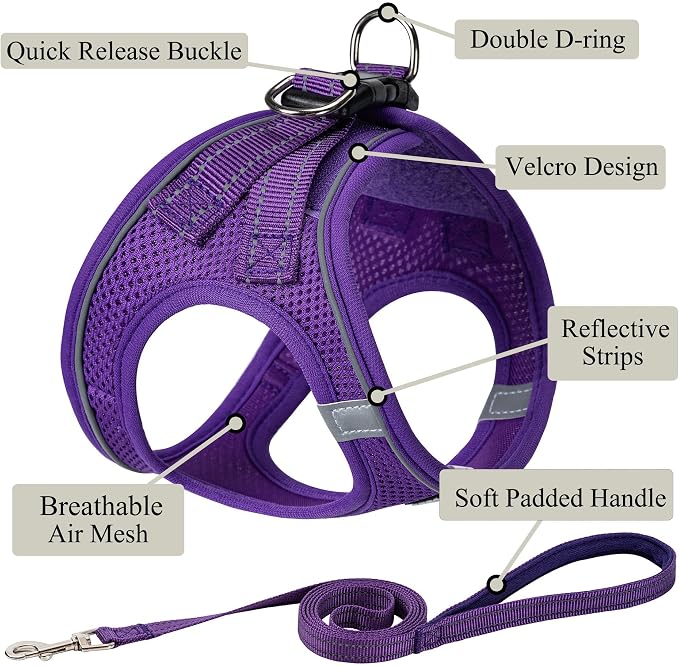 Dog Harness with Leash Set, No Pull Adjustable Reflective Step-in Puppy Pet Vest Harnesses for Small Medium Large Dogs and Cats,Purple XL
