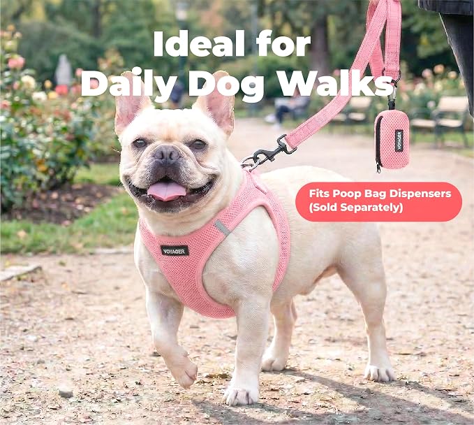 Best Pet Supplies Voyager Reflective Dog Leash or Collar with Neoprene Handle, for Small, Medium, and Large Breed Puppies, Cute and Heavy Duty for Walking, Running and Training - Pink (Leash), S
