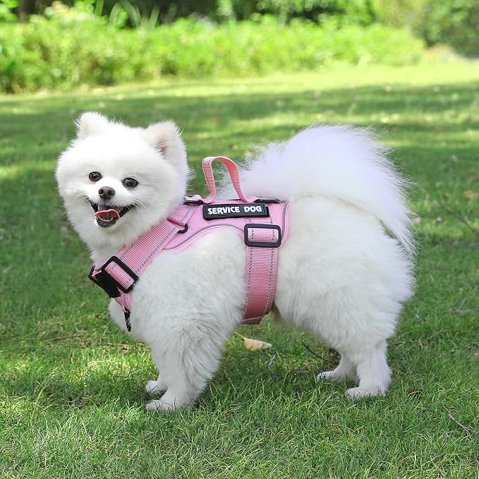 Reflective Dog Vest Harness with 5 PCS Patches, Adjustable Soft Oxford Pet Harness, Inner Layer Mesh, Prevent Pulling and Choking, Easy to Control for Small Medium Large Dogs