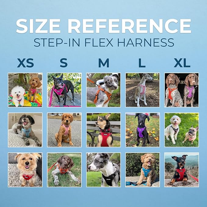 Best Pet Supplies Voyager Adjustable Step-in Flex Breathable Mesh Dog Harness for Small Medium Large Dogs (Royal Blue), L