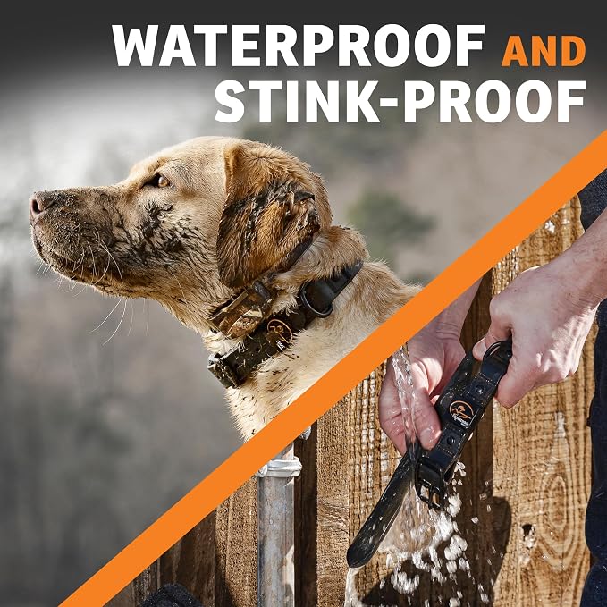 SportDOG Rugged Utility Collar – Waterproof and Stink-Proof – Premium Soft-Touch Material – Stress-Tested, Durable Hardware – Silicon Strap Keeper – Moss Green – Large