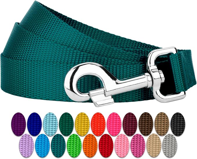 Country Brook Petz - Everyday Nylon Dog Leash - Strong, Durable, Solid Color Leash with Easy to Use Snap - 25+ Colors (1 Inch Wide, 6 Foot, Teal)