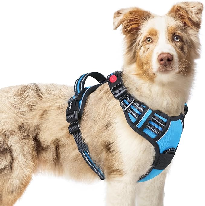 rabbitgoo Dog Harness Medium Sized, No Pull Easy On & Off with 3 Buckles Pet Harness, Adjustable Soft Walking Vest with 2 Clips and Handle, Reflective for Medium Dogs, Sky Blue, M