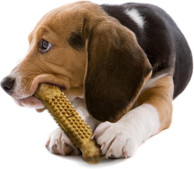 Nylabone Nubz Natural Dog Chew Treats for Large Dogs, Long Lasting Dog Chew Bones Made in the USA, Chicken Flavor Breath Freshener Dental Chews, Large Dog Bones for Dogs Over 30 lbs. (8 Count)