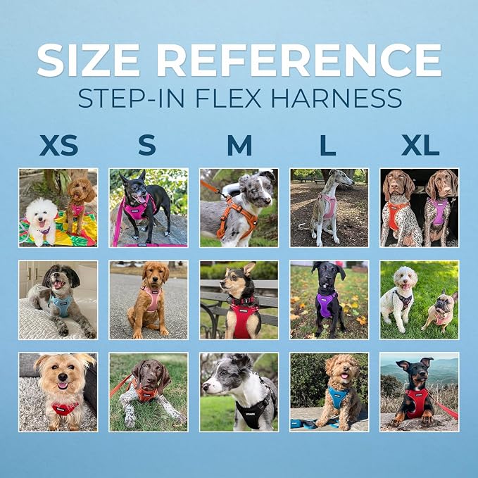Best Pet Supplies Voyager Adjustable Step-in Flex Breathable Mesh Dog Harness for Small Medium Large Dogs Leash Set (Black), L