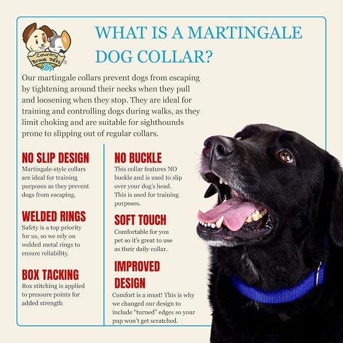 Country Brook Petz - Martingale Dog Collar - Heavy-Duty Training Collar with No Buckle - Service Dog Collar for All Pups - 20 Vibrant Colors (Silver, 5/8 Inch, Extra Small)