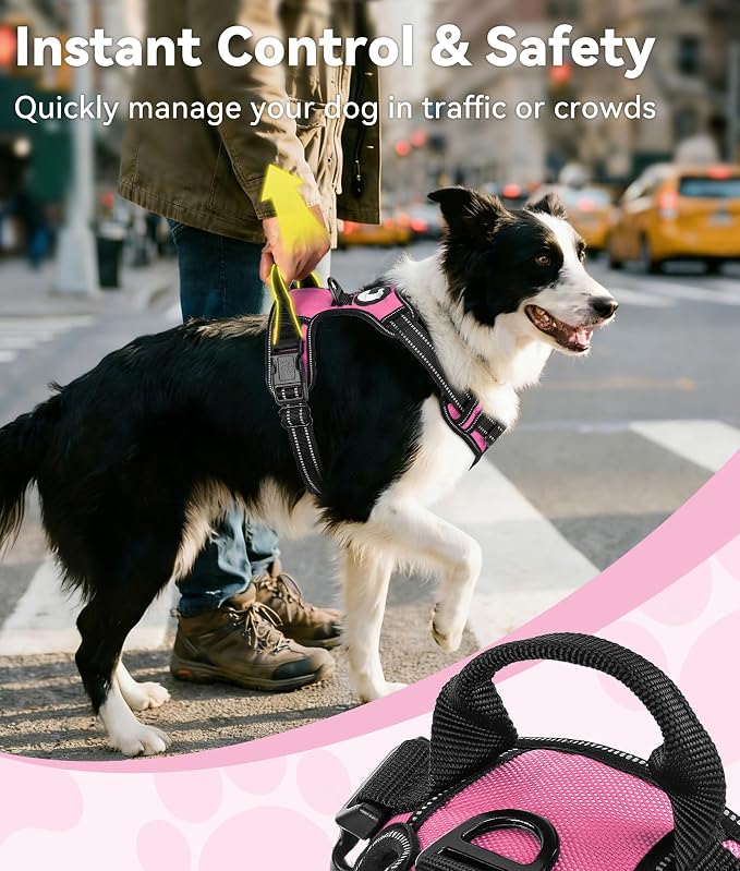 Joytale No Pull Dog Harness for Small Dogs, Reflective Pet Vest with Front Clip, Adjustable Soft Padded Harnesses with Easy Control Handle for Training and Walking, Hot Pink, S
