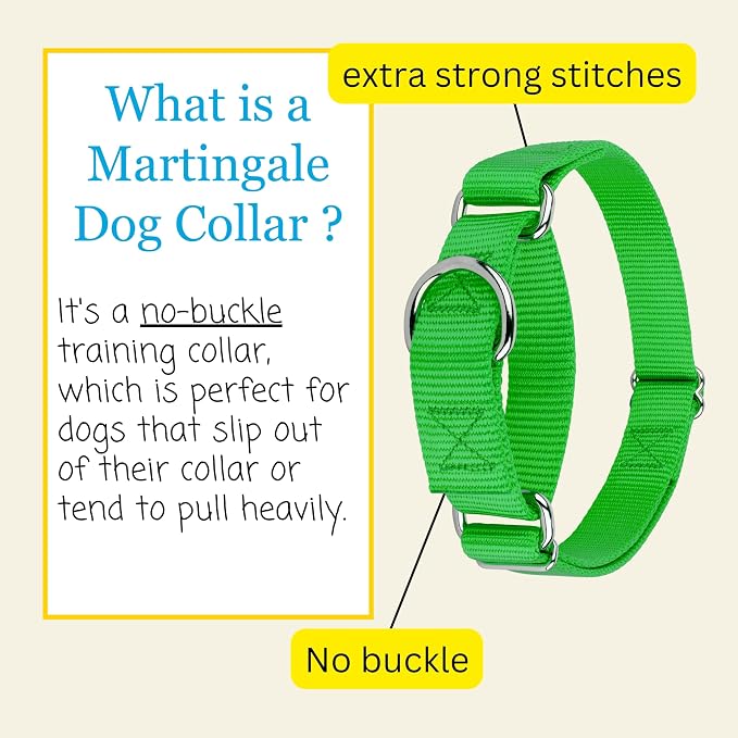 Country Brook Petz - Martingale Dog Collar - Heavy-Duty Training Collar with No Buckle - Service Dog Collar for All Pups - 20 Vibrant Colors (Hot Lime Green, 1 Inch, Medium)
