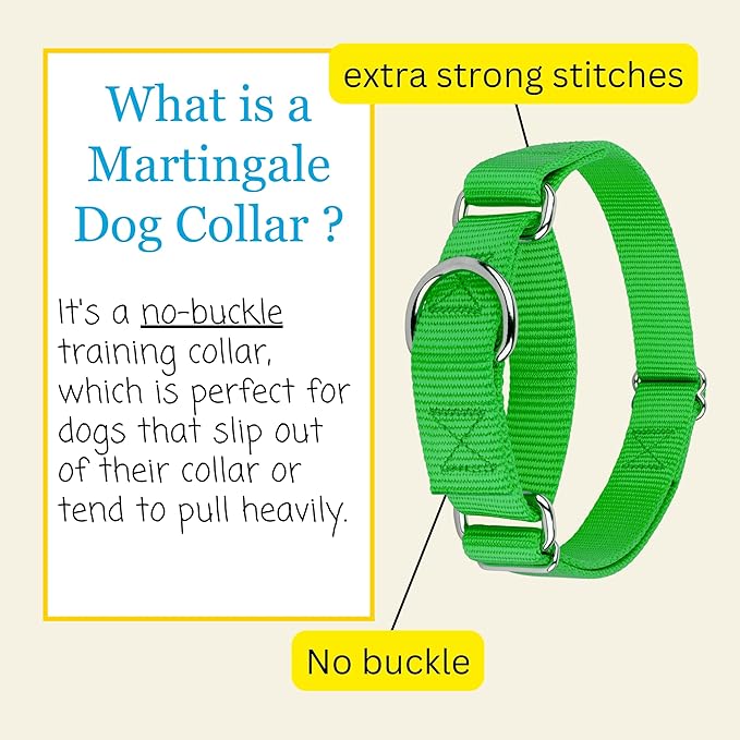 Country Brook Petz - Martingale Dog Collar - Heavy-Duty Training Collar with No Buckle - Service Dog Collar for All Pups - 20 Vibrant Colors (Hot Lime Green, 1 Inch, Large)