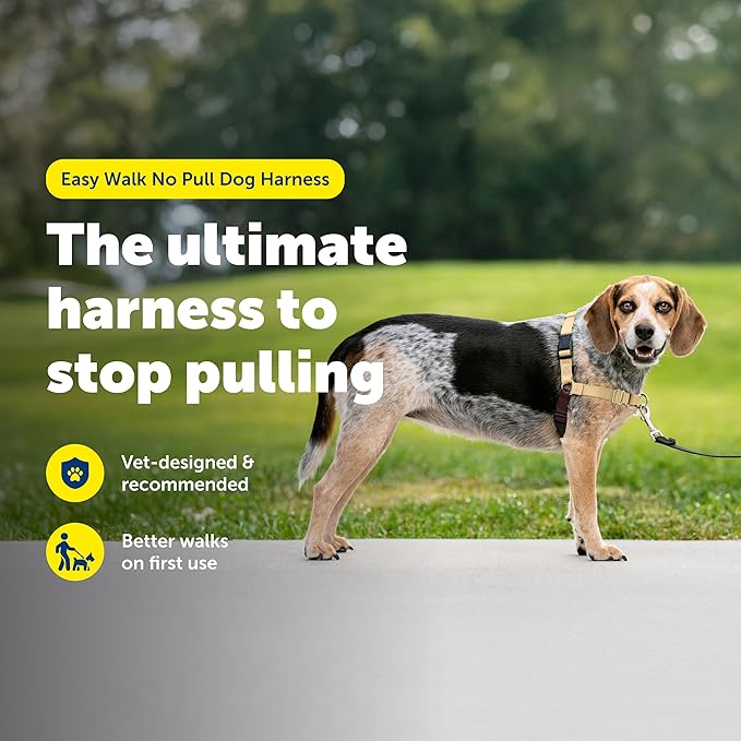 PetSafe Easy Walk No-Pull Dog Harness - Ultimate Harness to Help Stop Pulling - Pull-Free Walks - Take Control & Teach Better Leash Manners - Patented Martingale Loop Design - Fawn, Small/Medium