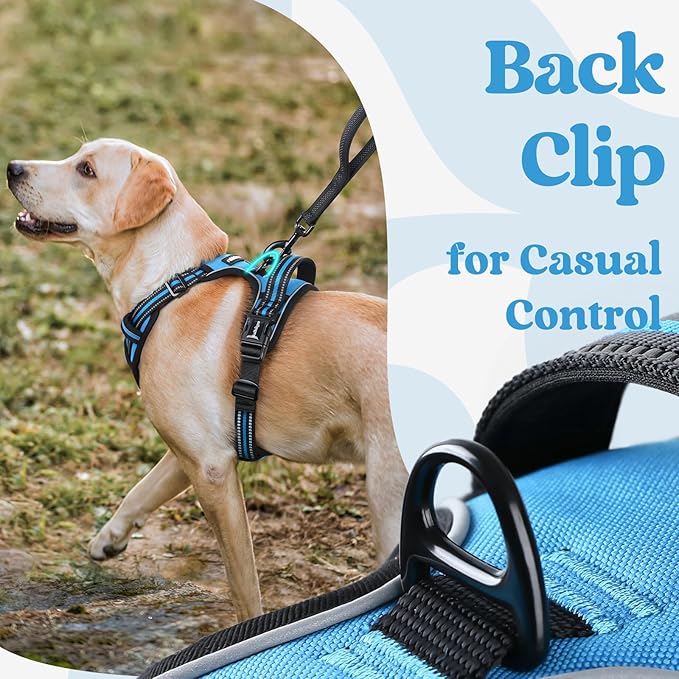 rabbitgoo Dog Harness for Large, No Pull Easy On & Off with 3 Buckles Pet Harness, Adjustable Soft Walking Vest with 2 Clips and Handle, Reflective for Extra Large Dogs, Sky Blue, XL