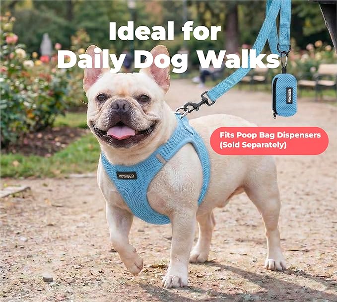 Best Pet Supplies Voyager Reflective Dog Leash or Collar with Neoprene Handle, for Small, Medium, and Large Breed Puppies, Cute and Heavy Duty for Walking, Running and Training - Baby Blue (Leash), M