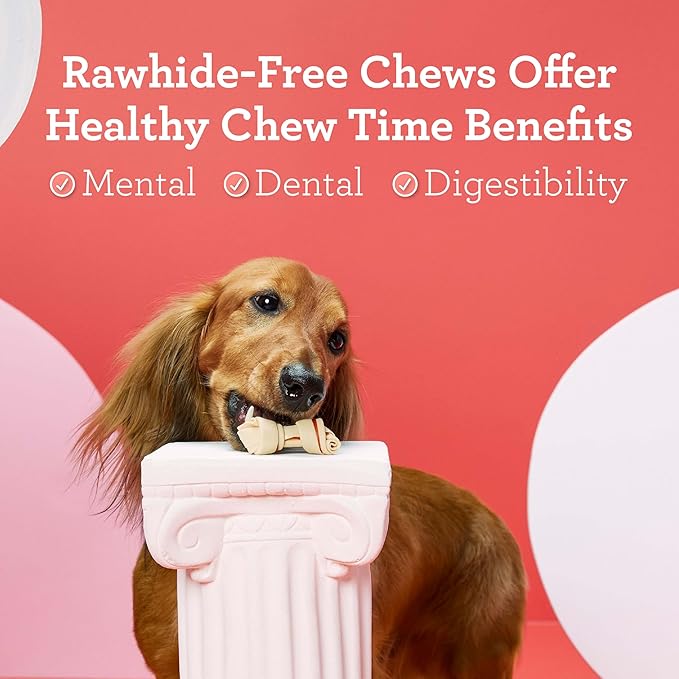 DreamBone Chicken Mini Bone Dog Treats, Daily Rawhide-Free Chew, Digests Safely and Completely, With Real Protein, Chicken and Veggies, 24 count