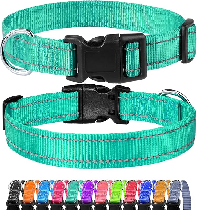 FunTags Length 16" - 24" Reflective Turquoise Dog Collar for Large Dogs – Night Walking & Training Safety, Durable Quick Release Buckle, Nylon, Comfortable Adjustable, Width 1"