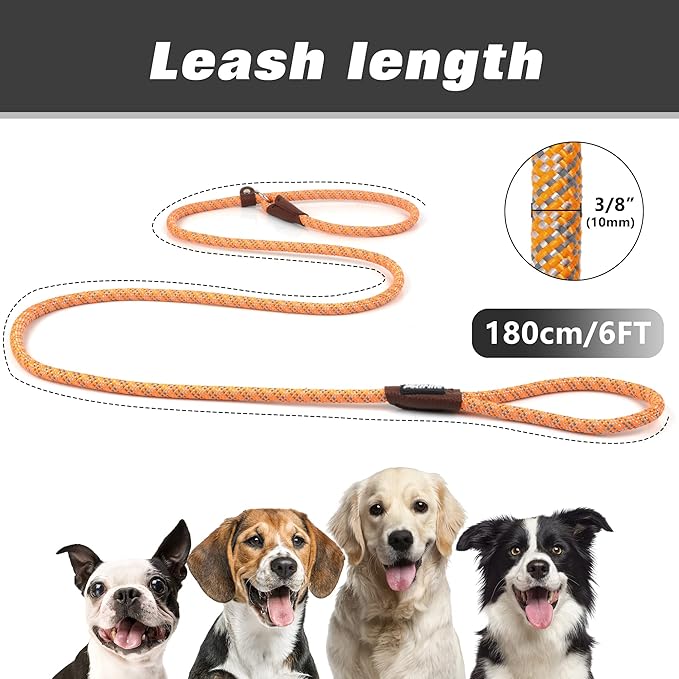 PetiFine Slip Lead, 6FT x 3/8" Reflective Dog Leash, Heavy Duty Adjustable Nylon Dog Rope Leash for Small to Large Dogs (Orange)