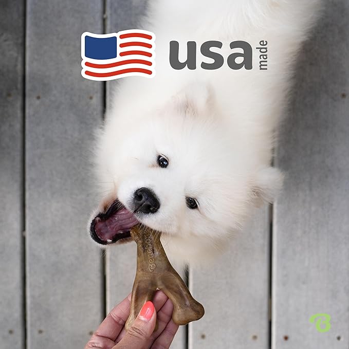 Benebone Wishbone Durable Dog Chew Toy for Aggressive Chewers, Real Bacon Made in USA, Tiny