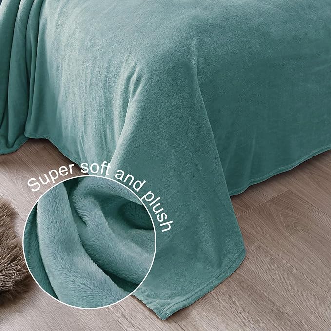 Exclusivo Mezcla Fleece Blankets Queen Size for Bed, Super Soft and Warm, All Season, Cozy, Plush, Lightweight, 90x90 Inches, Celadon