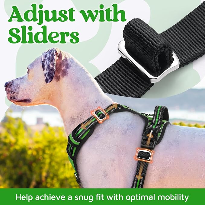 rabbitgoo Dog Harness Small Sized, 3 Buckles Easy On & Off No Pull Pet Vest, Soft Padded Walking Pet Harness with Control Handle, Adjustable and Reflective, Green, S