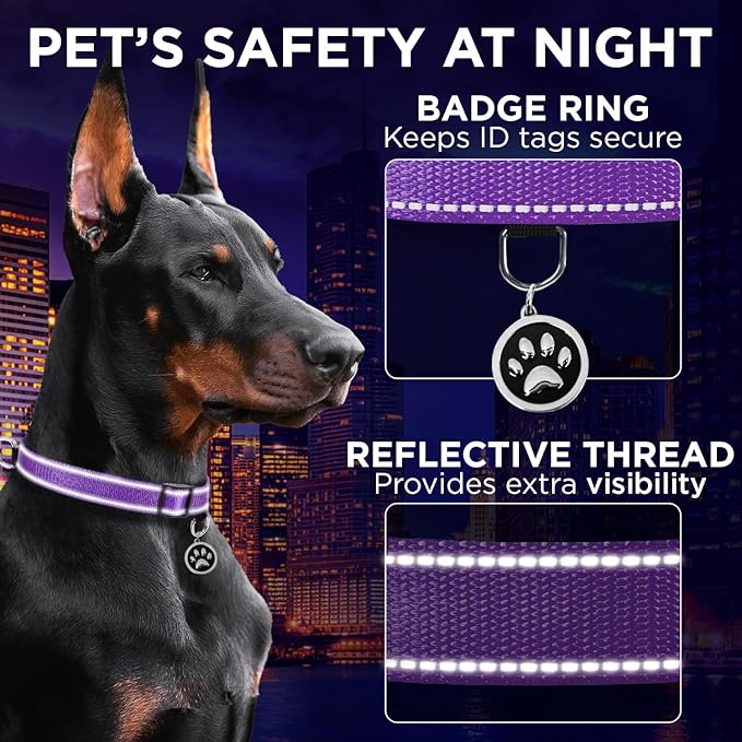 TECEUM Reflective Dog Collar – Purple – M – Extra Soft Padding – Basic Nylon Pet Collar – Quick Release Buckle – Fits Small, Medium and Large Dogs, Puppies, Cats – ESA & Service Dog Options