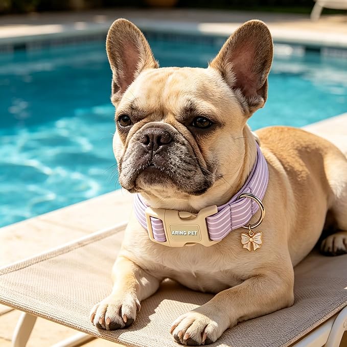 ARING PET Stripe Dog Collar, Cute Spring Summer Purple Stripe Pet Collars with Bow Charm for Puppy Small Medium Large Boy Girl Dogs, for Daily Outdoor Walking Beach Stroll-XS