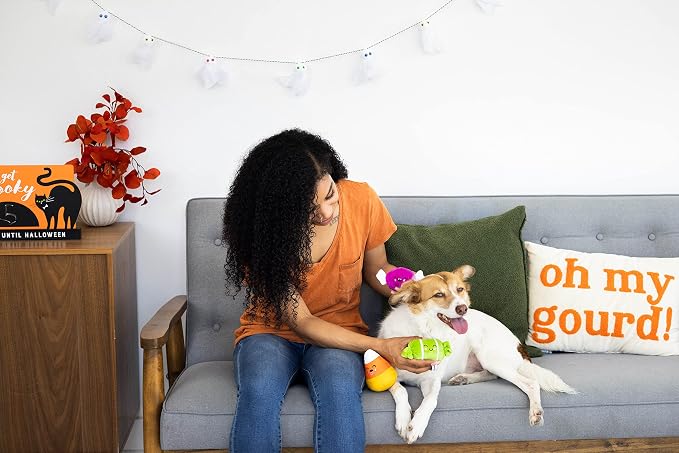 Pearhead Halloween Candy Dog Toys - Plush Pet Toy with Squeakers, Spooky Fall Finds, Set of 3