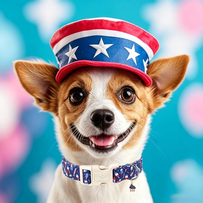 4th of July Dog Collar Patriotic Popsicle Dog Collars for Large Dogs - Lightweight Adjustable Navy Independence Day Puppy Collars Cute Summer Pet Safety Collar L