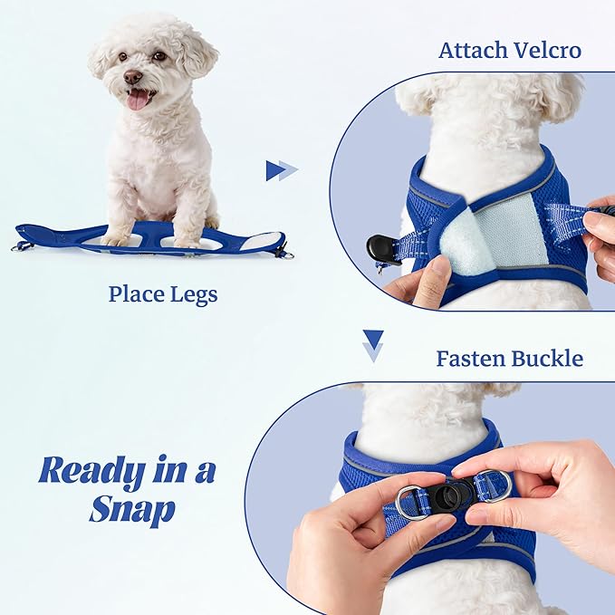 YIMEIS Dog Harness and Leash Set, No Pull Soft Mesh Pet Harness, Reflective Adjustable Puppy Vest for Small Medium Large Dogs, Cats (Royal Blue, X-Small (Pack of 1)