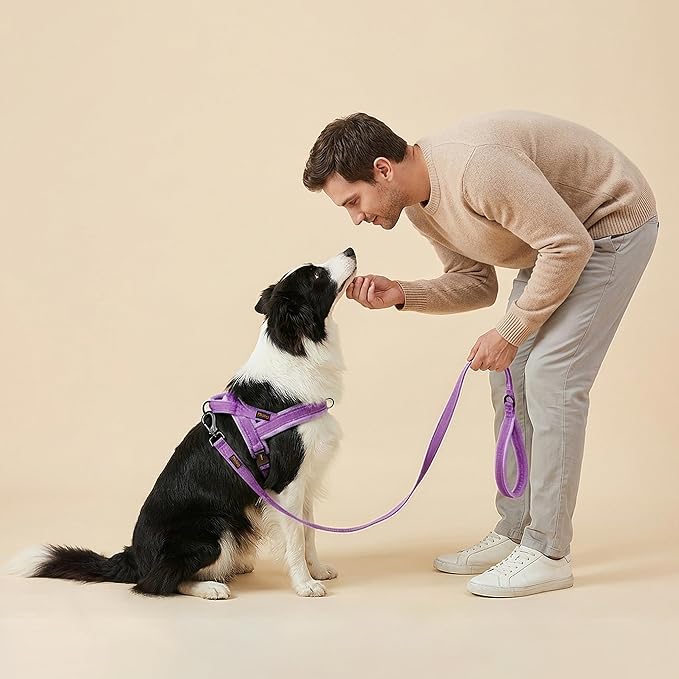 Didog Soft Flannel Padded Dog Vest Harness, No Pull/Quick Fit Reflective Dog Strap Harness, Easy for Training Walking (M:Chest 21-26", Purple)