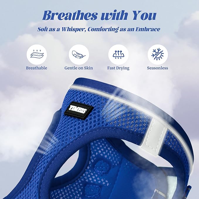 YIMEIS Dog Harness and Leash Set, No Pull Soft Mesh Pet Harness, Reflective Adjustable Puppy Vest for Small Medium Large Dogs, Cats (Royal Blue, Small (Pack of 1)