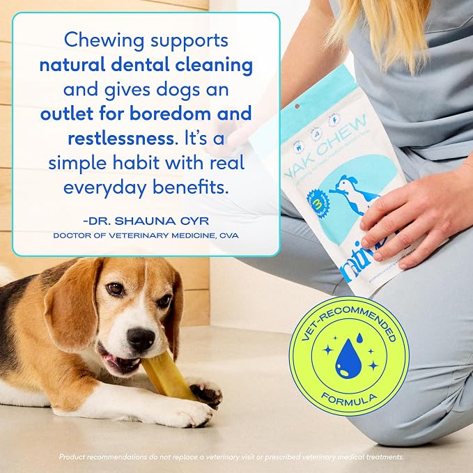 Native Pet Yak Cheese Himalayan Dog Chews - Long Lasting Dental Sticks for Large Breeds – 100% All Natural Himalayan Yak Chews for Large Dogs – Cheese Bone for Aggressive Chewers - 10 Per Pack