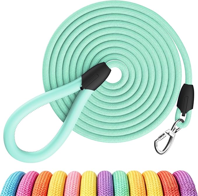 Dog Leash with Padded Handle, Durable Nylon Pet Lead for Small Medium Large Dogs, Heavy Duty Swivel Hook for Walking Training Hiking, 5ft Long Teal Puppy Leash（Turquoise,5 FEET）