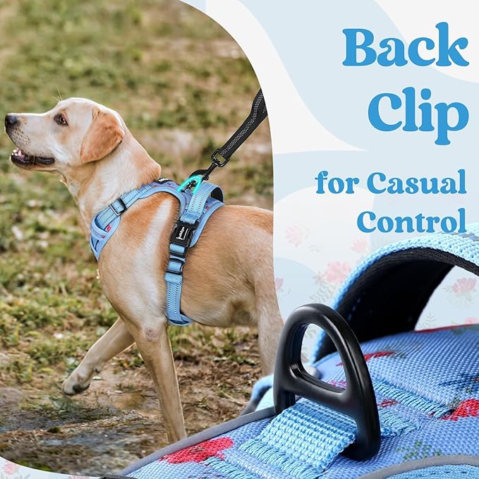 rabbitgoo Dog Harness for Large, No Pull Easy On & Off with 3 Buckles Pet Harness, Adjustable Soft Walking Vest with 2 Clips and Handle, Reflective for Large Dogs, Floral Blue, L
