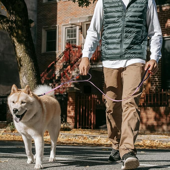Double Handle Dog Leash for Large Dogs, Heavy Duty Adjustable Leash with Soft Padded Handles, Traffic Control Training Lead for Walking, Running (Purple & White Stripe, 6 ft)