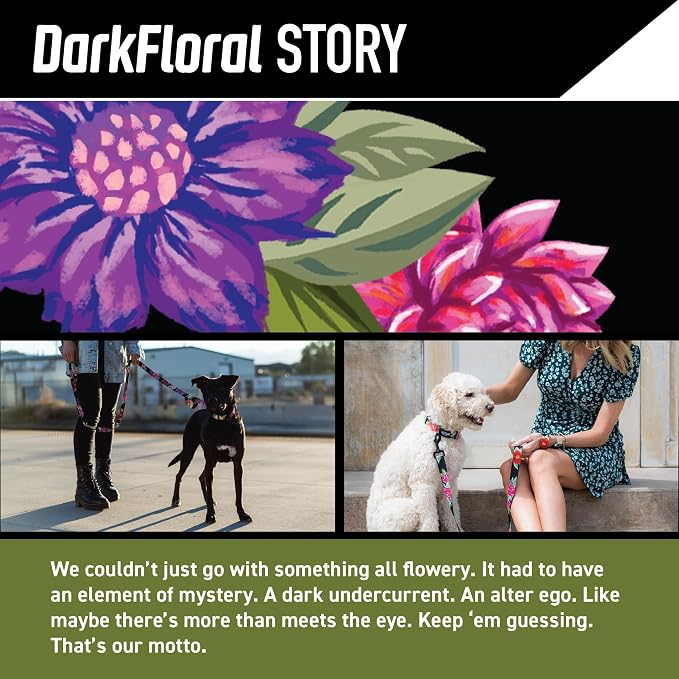 Wolfgang Heavy Duty, Adjustable Dog Collar with Quick Release Nylon Buckle for Walking & Training, DarkFloral Print, Small