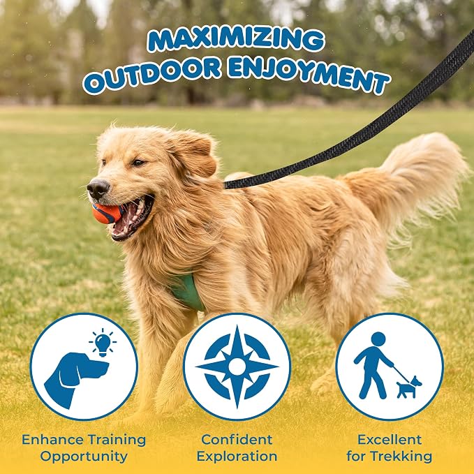 SunGrow Pet Training Leash, Heavy-Duty Polypropylene Walking Leash, 360-degree Swivel Hook, Dog/Puppy Obedience, Recall, Agility Lead, Leisure & Adventure Walking, Black, 15 feet x 0.8 inches