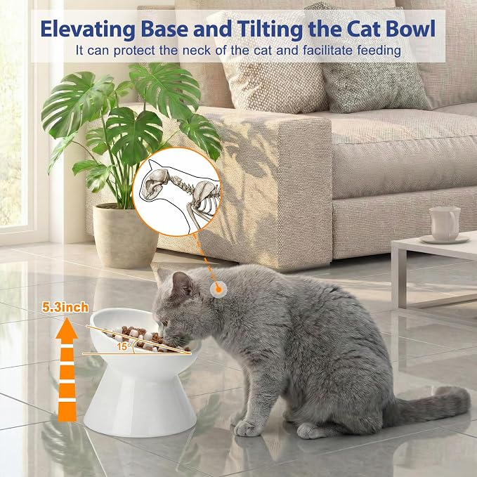 Ceramic Slow Feeder Cat Bowl, 2 Cups Tilted Elevated Cat Slow Feeder Bowl for Dry and Wet Food, Honeycomb Design for Preventing Vomiting & Bloating (White-Honeycomb)