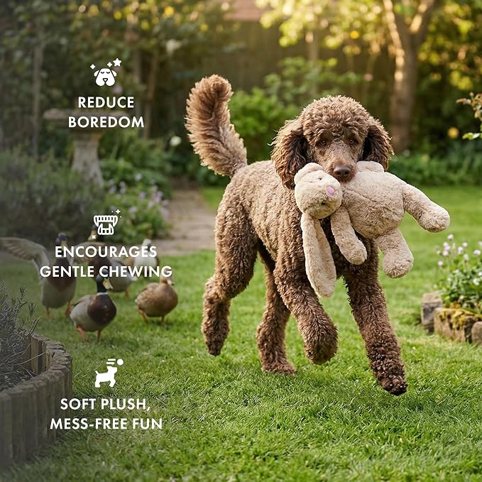 petlou Colossal Squeak 15-inch Promo Rabbit Dog Toys Not for Heavy Aggressive Chewers