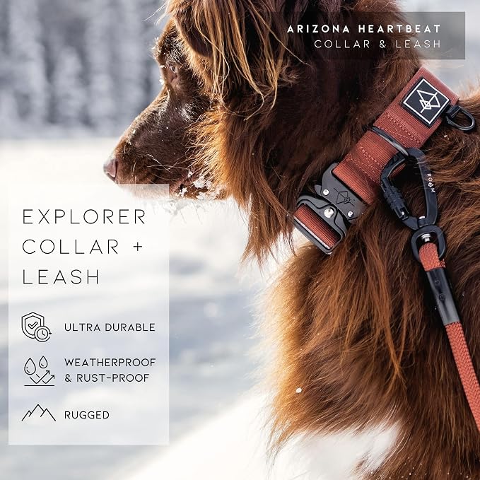 Made to ROAM Premium Explorer Control Collar - Adjustable Heavy Duty Nylon Dog Collar with Quick-Release Metal Buckle and Handle (Texas Flair, Control Size 4)