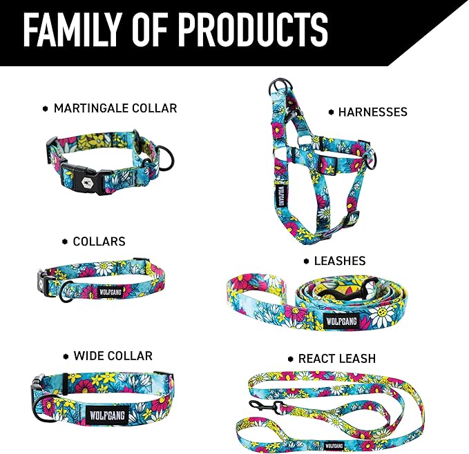 Wolfgang Heavy Duty, Adjustable Dog Collar with Quick Release Nylon Buckle for Walking & Training, LazyDaisy Print, Medium