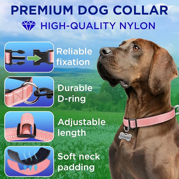 TECEUM Reflective Dog Collar – Pink – L – Extra Soft Padding – Basic Nylon Pet Collar – Quick Release Buckle – Fits Small, Medium and Large Dogs, Puppies, Cats – ESA & Service Dog Options