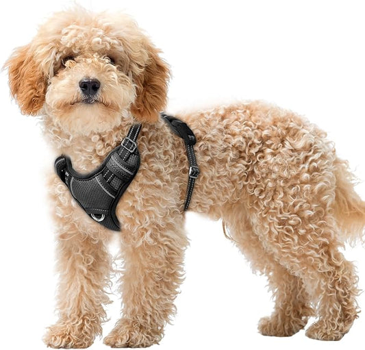 BARKBAY No Pull Dog Harness Large Reflective Dog Harness with Front Clip and Easy Control Handle for Walking Training Running with ID tag Pocket(Black,XS)