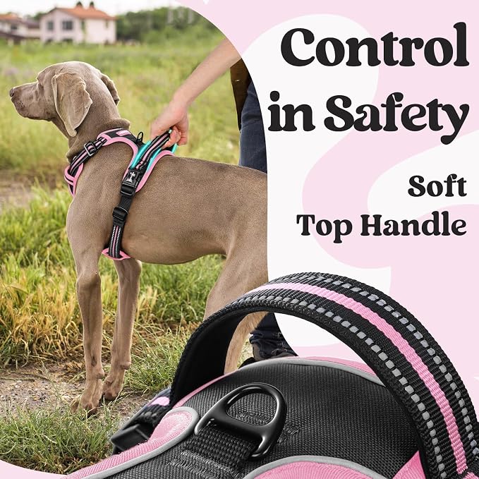 rabbitgoo Dog Harness Medium Sized, No Pull Easy On & Off with 3 Buckles Pet Harness, Adjustable Soft Walking Vest with 2 Clips and Handle, Reflective for Medium Dogs, Black & Pink, M